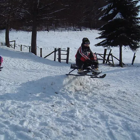 古特坲而沃德酒店 3* 施马伦贝格