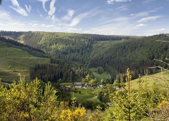 Отель Gut Vorwald 3*